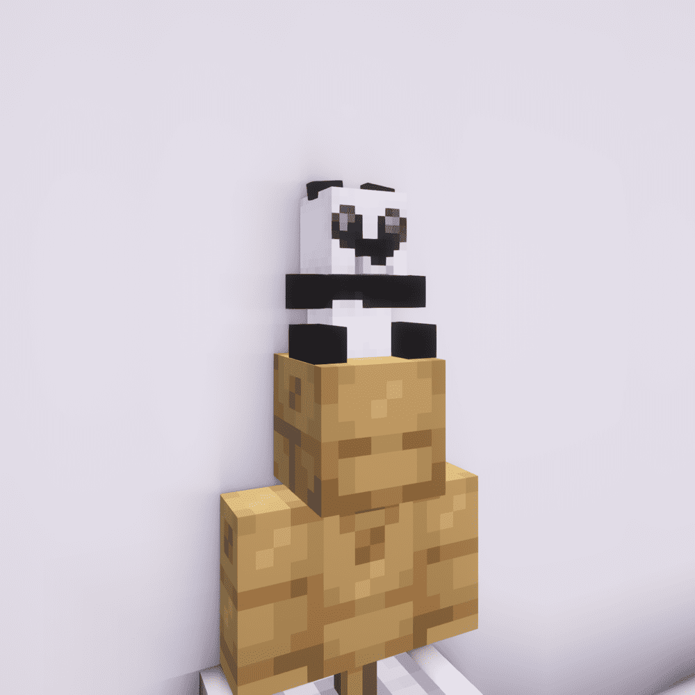 Compagnon panda